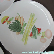 Load image into Gallery viewer, Winterling Marktleuthen 1960s Salad Ware Pattern Side Plates
