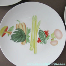 Load image into Gallery viewer, Winterling Marktleuthen 1960s Salad Ware Pattern Side Plates
