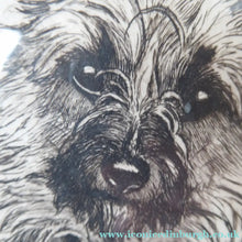 Load image into Gallery viewer, Marion Harvey Etching of a Cairn Terrier called Sandy
