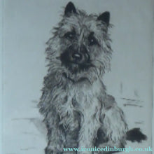 Load image into Gallery viewer, Marion Harvey Etching of a Cairn Terrier called Sandy
