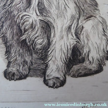 Load image into Gallery viewer, Marion Harvey Etching of a Cairn Terrier called Sandy
