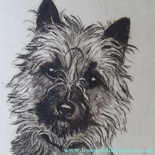 Load image into Gallery viewer, Marion Harvey Etching of a Cairn Terrier called Sandy
