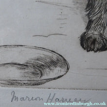 Load image into Gallery viewer, Marion Harvey Etching of a Cairn Terrier called Sandy
