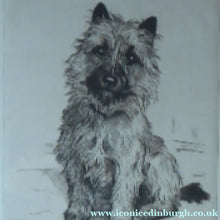 Load image into Gallery viewer, Marion Harvey Etching of a Cairn Terrier called Sandy
