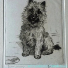 Load image into Gallery viewer, Marion Harvey Etching of a Cairn Terrier called Sandy
