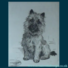 Load image into Gallery viewer, SCOTTISH ART: 1930s ORIGINAL Etching by Marion Harvey (1886 - 1971). Study of  a Cairn Terrier called Sandy

