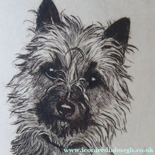 Load image into Gallery viewer, Marion Harvey Etching of a Cairn Terrier called Sandy
