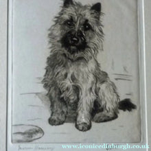 Load image into Gallery viewer, Marion Harvey Etching of a Cairn Terrier called Sandy
