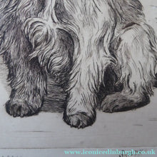 Load image into Gallery viewer, Marion Harvey Etching of a Cairn Terrier called Sandy
