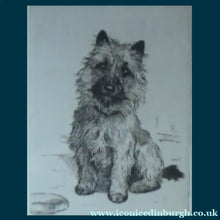 Load image into Gallery viewer, SCOTTISH ART: 1930s ORIGINAL Etching by Marion Harvey (1886 - 1971). Study of  a Cairn Terrier called Sandy
