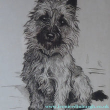 Load image into Gallery viewer, Marion Harvey Etching of a Cairn Terrier called Sandy
