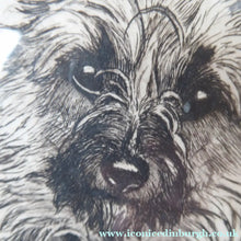 Load image into Gallery viewer, Marion Harvey Etching of a Cairn Terrier called Sandy
