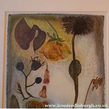Load image into Gallery viewer, SCOTTISH ART. 2002 Gouache &amp; Wax Drawing by Sylvia von Hartmann Entitled "Botanical Assembly"
