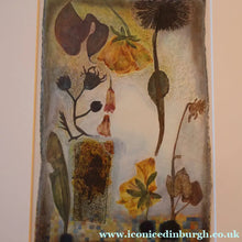 Load image into Gallery viewer, SCOTTISH ART. 2002 Gouache &amp; Wax Drawing by Sylvia von Hartmann Entitled "Botanical Assembly"
