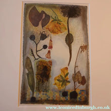 Load image into Gallery viewer, SCOTTISH ART. 2002 Gouache &amp; Wax Drawing by Sylvia von Hartmann Entitled "Botanical Assembly"
