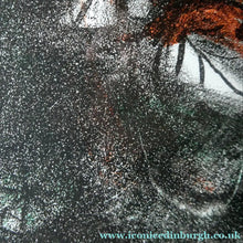 Load image into Gallery viewer, Scottish Art Anne Redpatch Limited Edition Signed Lithograph. Windsor Flowers
