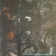 Load image into Gallery viewer, Scottish Art Anne Redpatch Limited Edition Signed Lithograph. Windsor Flowers
