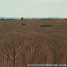 Load image into Gallery viewer, Scottish Artist Robert Crozier Linocut Conifers in a Forest Framed

