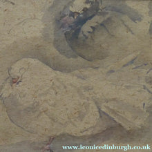 Load image into Gallery viewer, Scottish Art for Sale. Edwin Alexander Watercolour Painting of a White Dove
