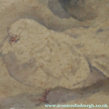 Load image into Gallery viewer, Scottish Art for Sale. Edwin Alexander Watercolour Painting of a White Dove

