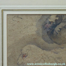 Load image into Gallery viewer, Scottish Art for Sale. Edwin Alexander Watercolour Painting of a White Dove
