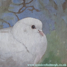 Load image into Gallery viewer, Scottish Art for Sale. Edwin Alexander Watercolour White Dove

