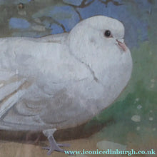 Load image into Gallery viewer, Scottish Art for Sale. Edwin Alexander Watercolour White Dove
