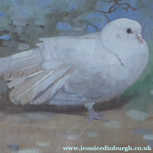 Load image into Gallery viewer, Scottish Art for Sale. Edwin Alexander Watercolour White Dove
