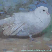 Load image into Gallery viewer, Scottish Art for Sale. Edwin Alexander Watercolour White Dove
