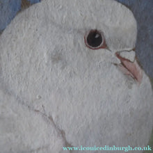 Load image into Gallery viewer, Scottish Art for Sale. Edwin Alexander Watercolour White Dove

