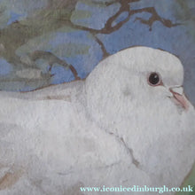 Load image into Gallery viewer, Scottish Art for Sale. Edwin Alexander Watercolour White Dove
