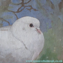 Load image into Gallery viewer, Scottish Art for Sale. Edwin Alexander Watercolour White Dove
