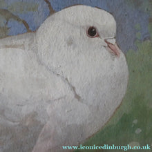 Load image into Gallery viewer, Scottish Art for Sale. Edwin Alexander Watercolour White Dove
