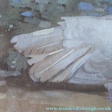 Load image into Gallery viewer, Scottish Art for Sale. Edwin Alexander Watercolour White Dove
