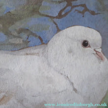 Load image into Gallery viewer, Scottish Art for Sale. Edwin Alexander Watercolour White Dove
