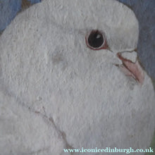 Load image into Gallery viewer, Scottish Art for Sale. Edwin Alexander Watercolour White Dove
