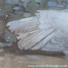 Load image into Gallery viewer, Scottish Art for Sale. Edwin Alexander Watercolour White Dove
