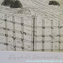 Load image into Gallery viewer, Elizabeth Blackadder Pencil Signed Etching Japanese Garden Kyoto 1992. Glasgow Print Studio
