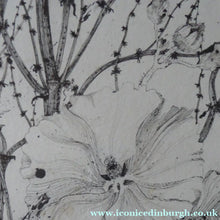 Load image into Gallery viewer, Scottish Art for Sale. Jane Hyslop Drawing of Wildflowers and Plants

