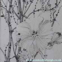 Load image into Gallery viewer, Scottish Art for Sale. Jane Hyslop Drawing of Wildflowers and Plants
