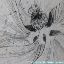Load image into Gallery viewer, Scottish Art for Sale. Jane Hyslop Drawing of Wildflowers and Plants
