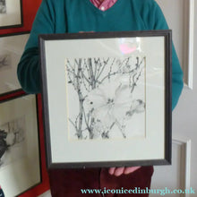 Load image into Gallery viewer, Scottish Art for Sale. Jane Hyslop Drawing of Wildflowers and Plants
