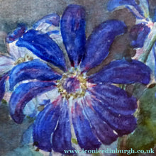 Load image into Gallery viewer, Kate Cameron Signed Watercolour of Blue Daisies Framed 
