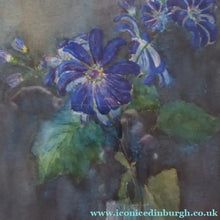 Load image into Gallery viewer, Kate Cameron Signed Watercolour of Blue Daisies Framed 
