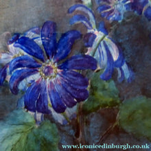 Load image into Gallery viewer, Kate Cameron Signed Watercolour of Blue Daisies Framed 
