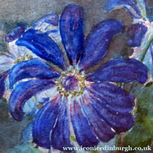 Load image into Gallery viewer, Kate Cameron Signed Watercolour of Blue Daisies Framed 
