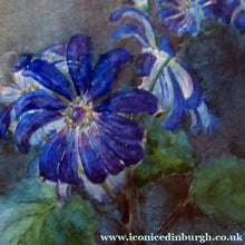 Load image into Gallery viewer, Kate Cameron Signed Watercolour of Blue Daisies Framed 
