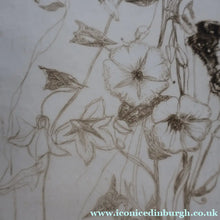 Load image into Gallery viewer, SCOTTISH ART: Katherine (Kate) Cameron (1874- 1965). Large 1920s Etching with Butterflies and Harebells. SIGNED
