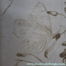 Load image into Gallery viewer, SCOTTISH ART: Katherine (Kate) Cameron (1874- 1965). Large 1920s Etching with Butterflies and Harebells. SIGNED

