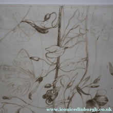 Load image into Gallery viewer, SCOTTISH ART: Katherine (Kate) Cameron (1874- 1965). Large 1920s Etching with Butterflies and Harebells. SIGNED
